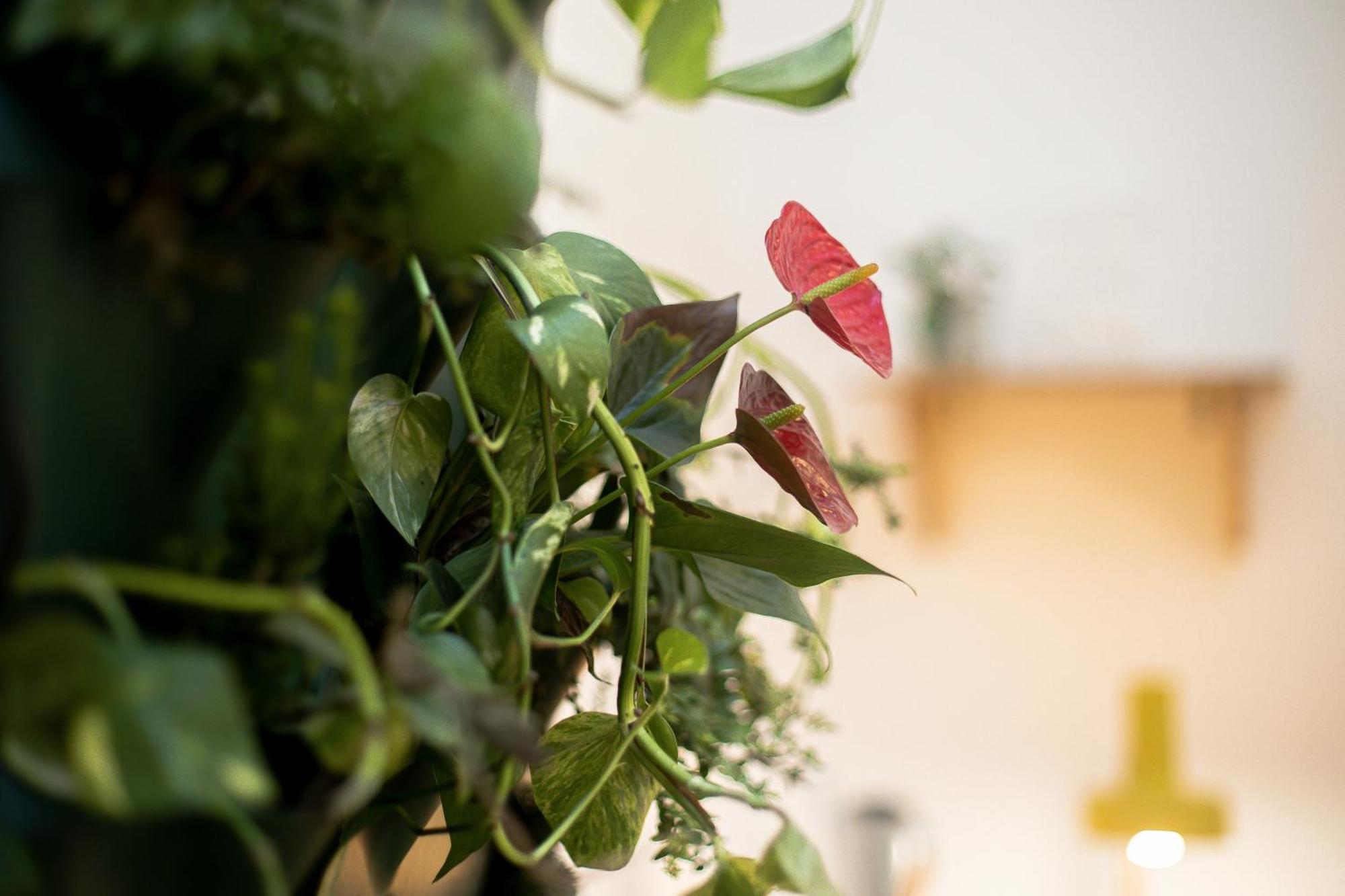 Budapestayz - Lonyay Studios Extérieur photo