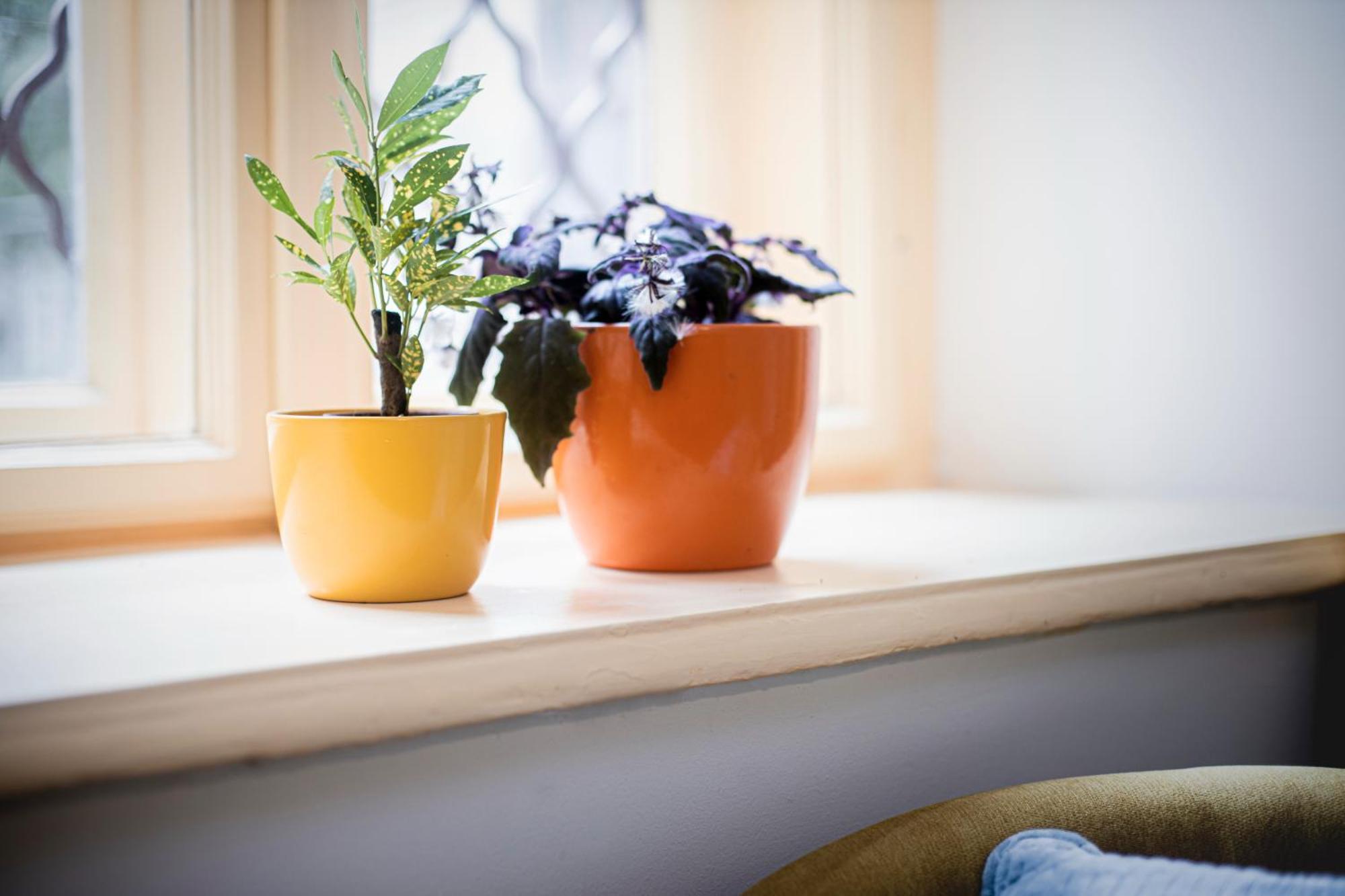 Budapestayz - Lonyay Studios Extérieur photo